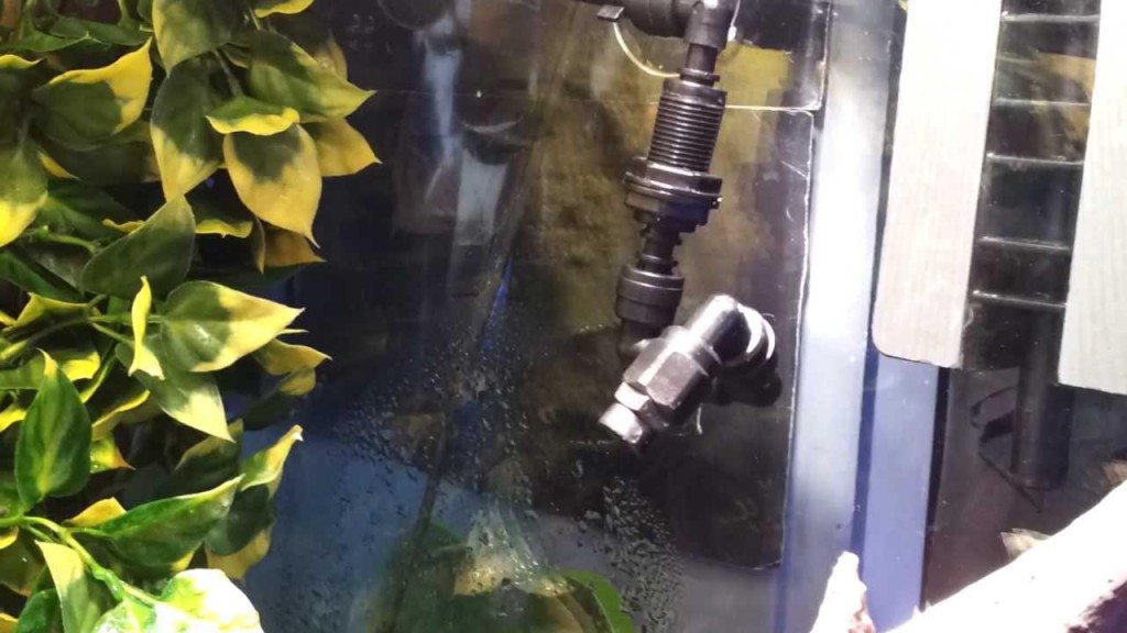 DIY Misting System Terrarium Fountain Design Ideas