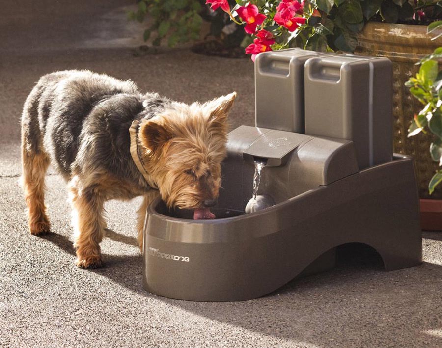 Dog Outdoor Drinking Fountain