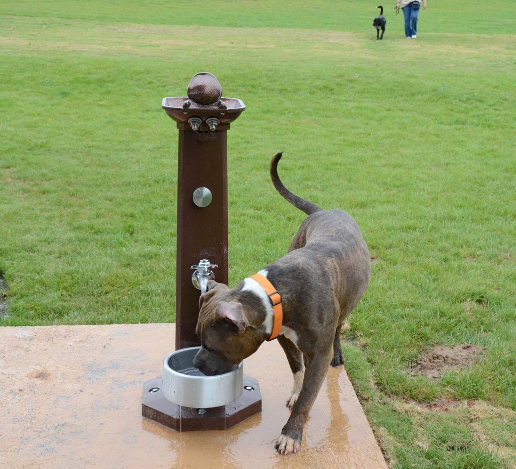 Dog Park Drinking Fountains