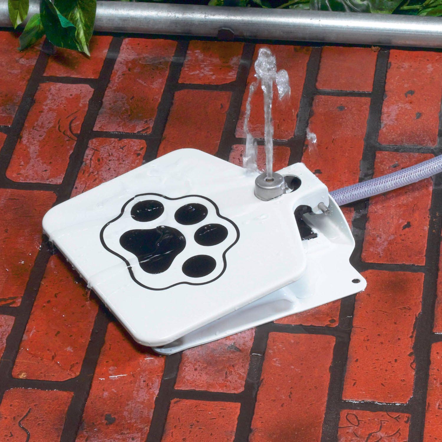 Drinking Fountain for Dogs