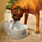 Drinkwell Big Dog Drinking Fountain