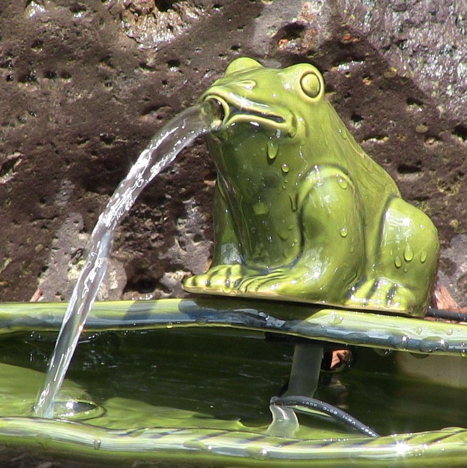 Frog Water Fountain