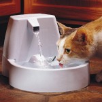 How to Make a Cat Water Fountain