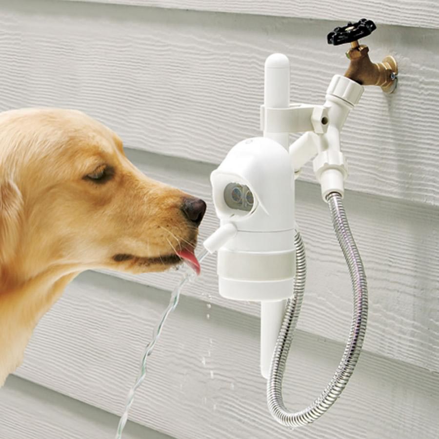 Large Dog Drinking Fountain