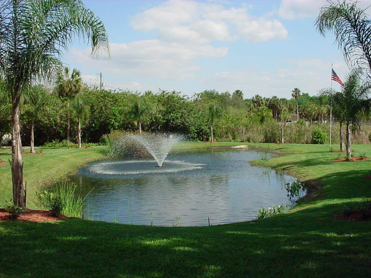 ponds with fountains