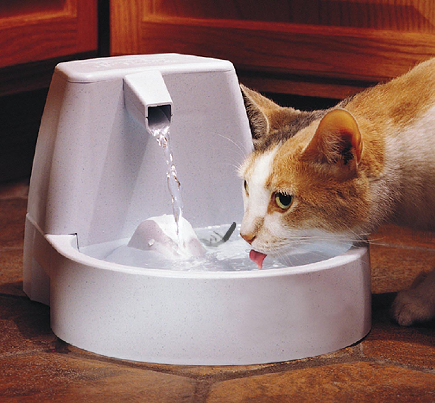 The Bubbler Cat Water Fountain