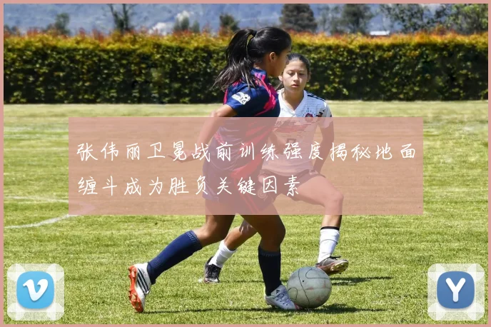 张伟丽卫冕战前训练强度揭秘地面缠斗成为胜负关键因素
